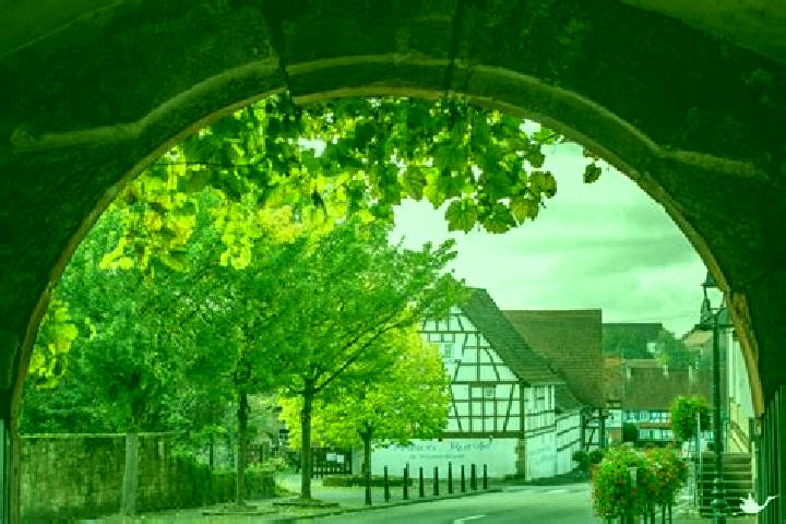 escort Kutzenhausen