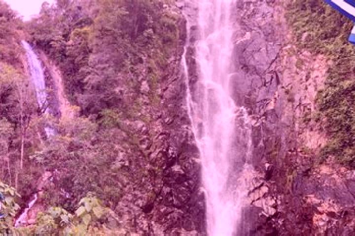escort La Cascada