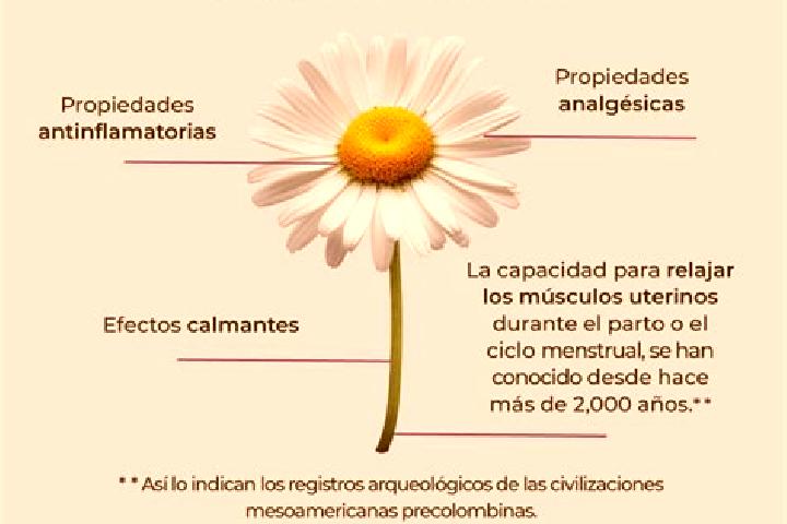 escort La Manzanilla