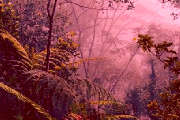 escort La Selva Natividad