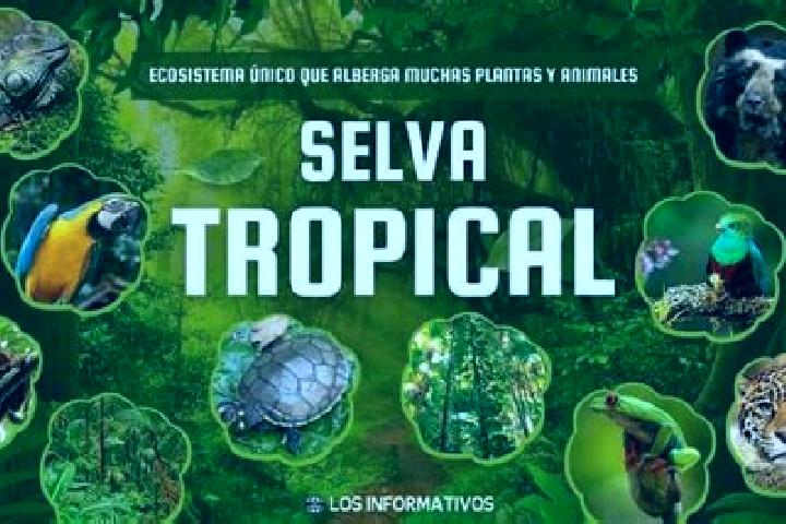 escort La Selva
