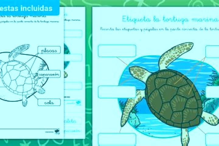 escort La Tortuga