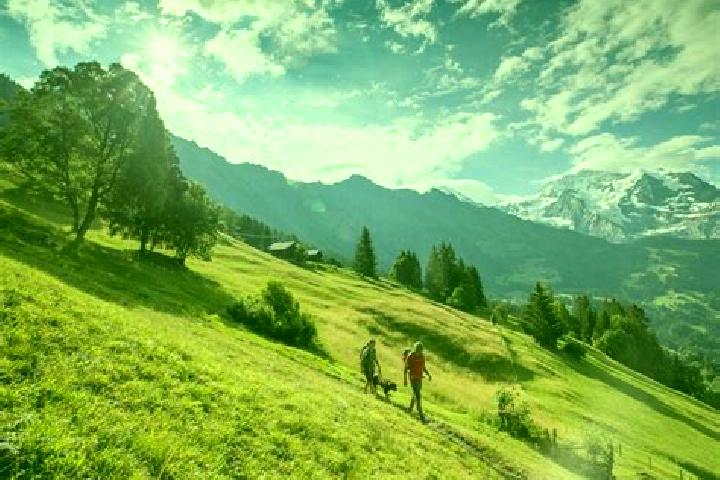 escort La Valle - Wengen