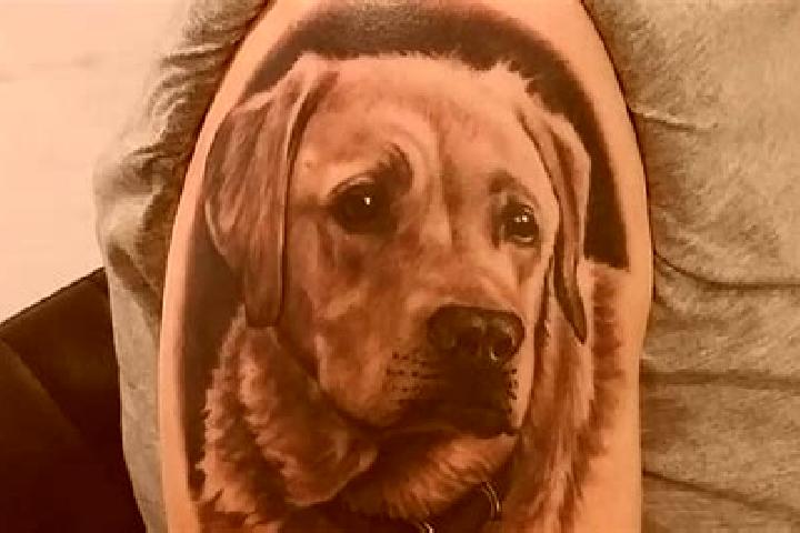 escort Labrador