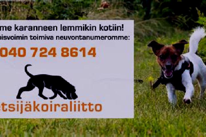 escort Laensi-Herttoniemi