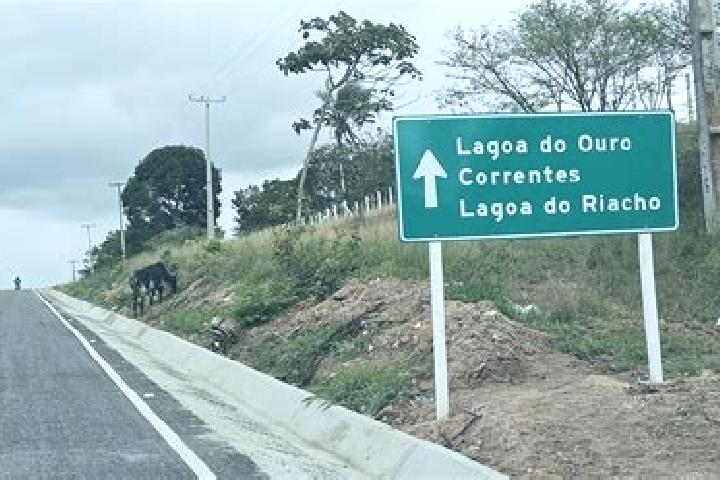 escort Lagoa do Ouro