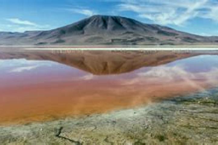 escort Laguna Colorada