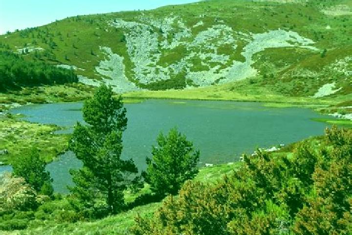 escort Laguna de Cameros
