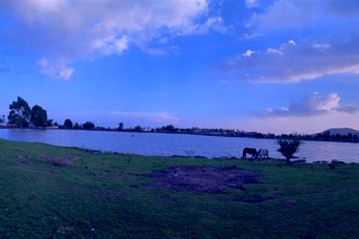 escort Laguna de Vaquerias