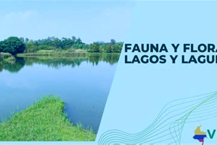 escort Lagunas