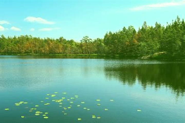 escort Lake Alfred