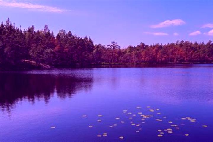 escort Lake Arthur