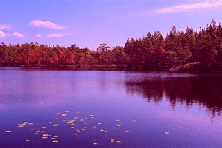 escort Lake Barrington