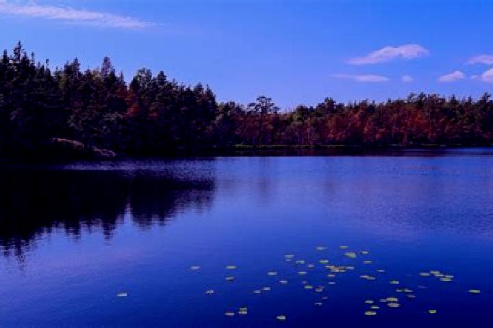 escort Lake Bosworth