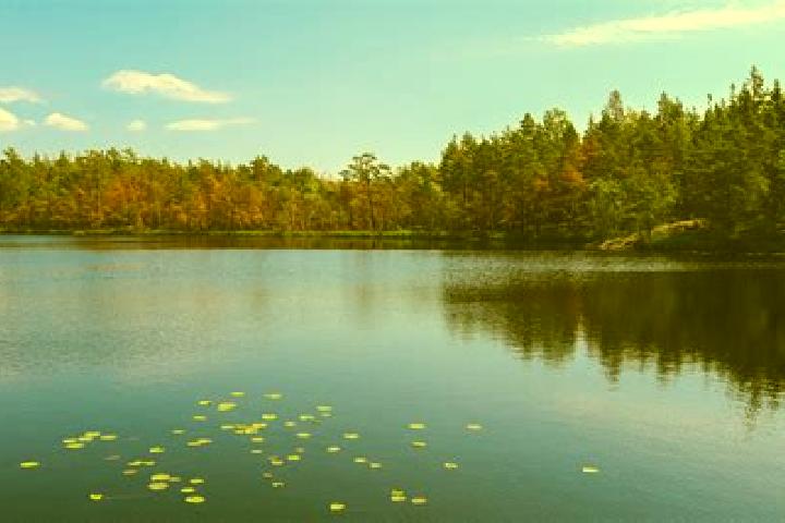 escort Lake Butler