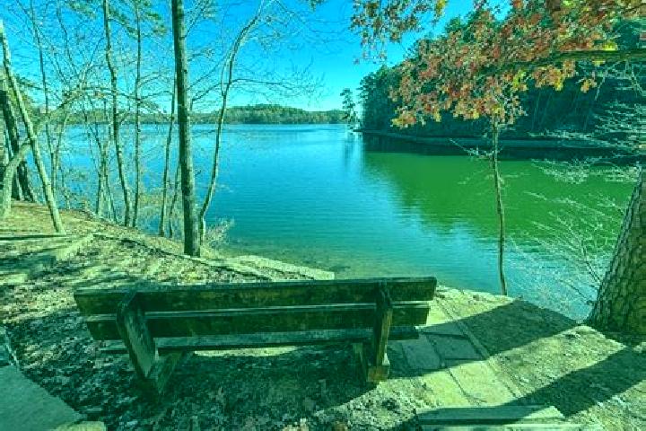 escort Lake Catherine