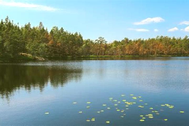 escort Lake Dalecarlia