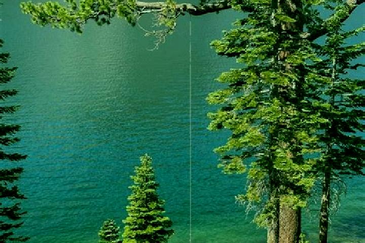 escort Lake Echo