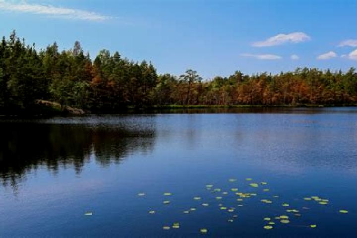 escort Lake Evesham