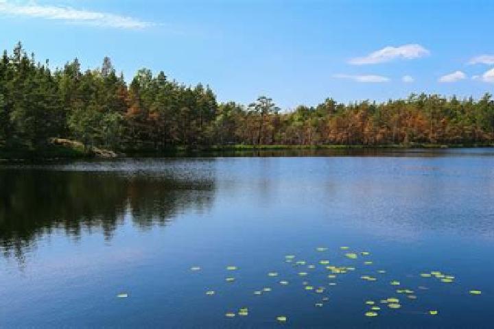escort Lake Hallie