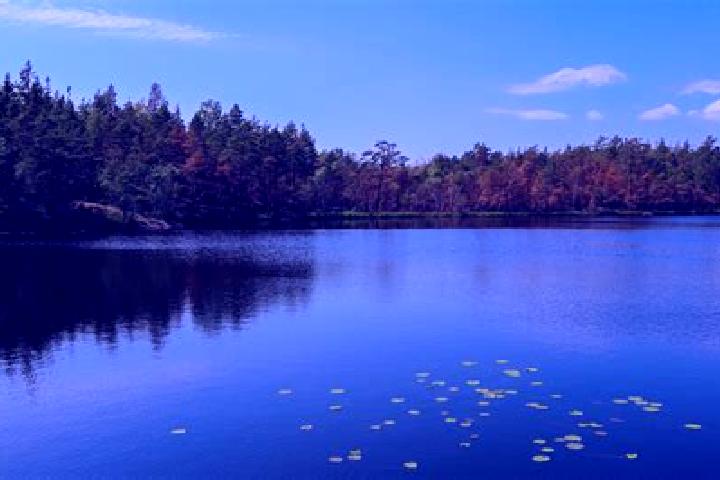 escort Lake Hart