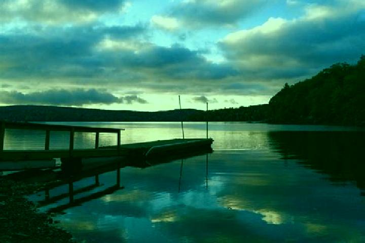 escort Lake Haven