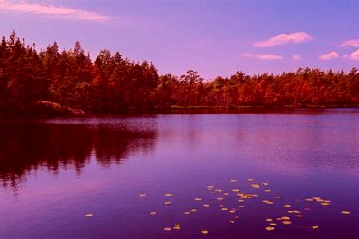 escort Lake Hughes