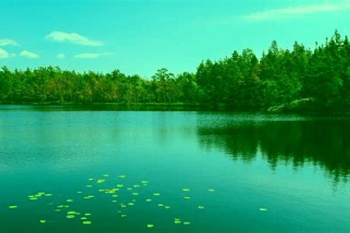 escort Lake Linden