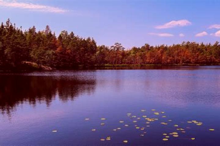 escort Lake Odessa