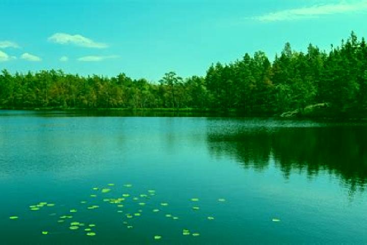 escort Lake Panorama