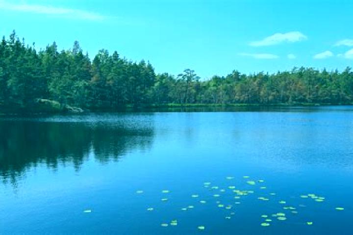 escort Lake Providence