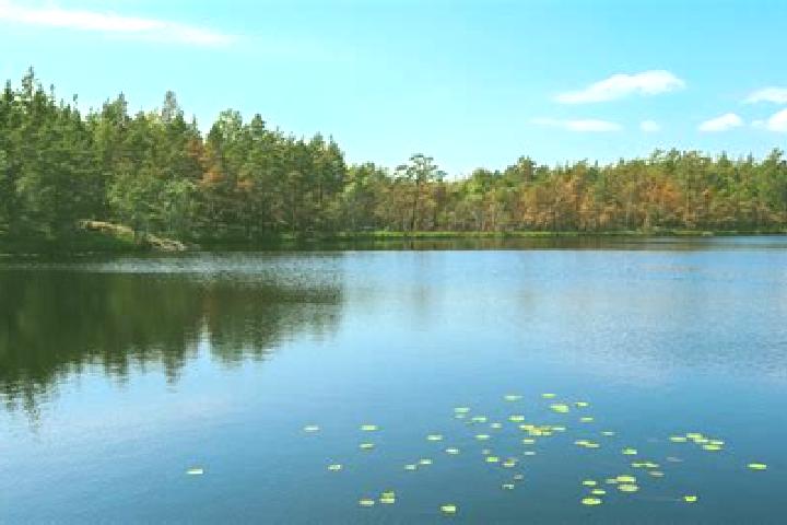 escort Lake Station