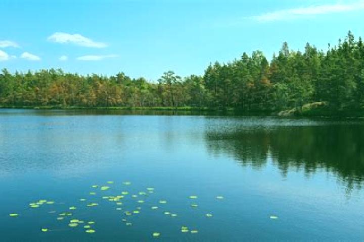 escort Lake Success