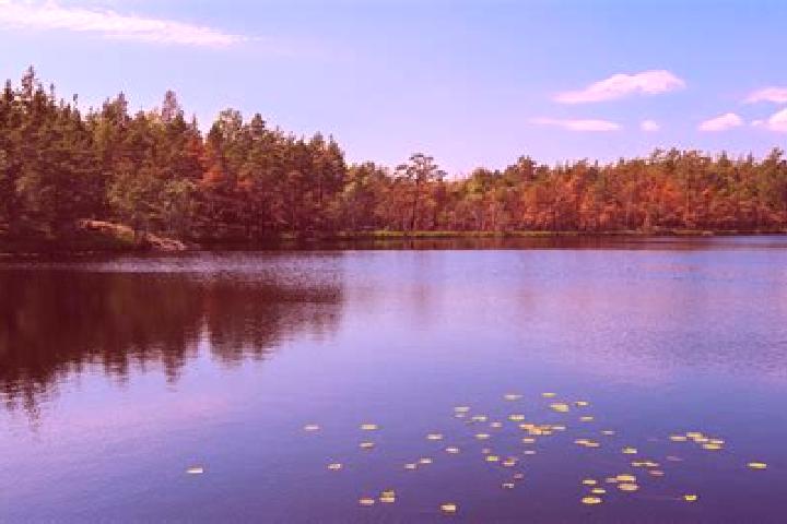 escort Lake Tanglewood