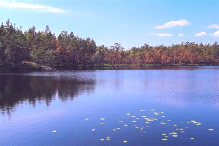 escort Lake Telemark
