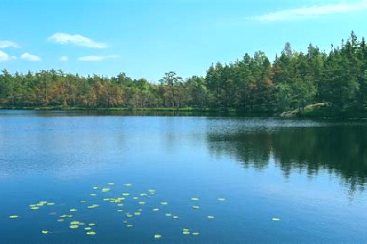 escort Lake Wales