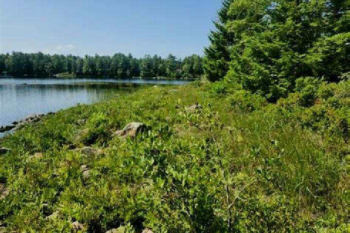 escort Lakeshore North-Conservation