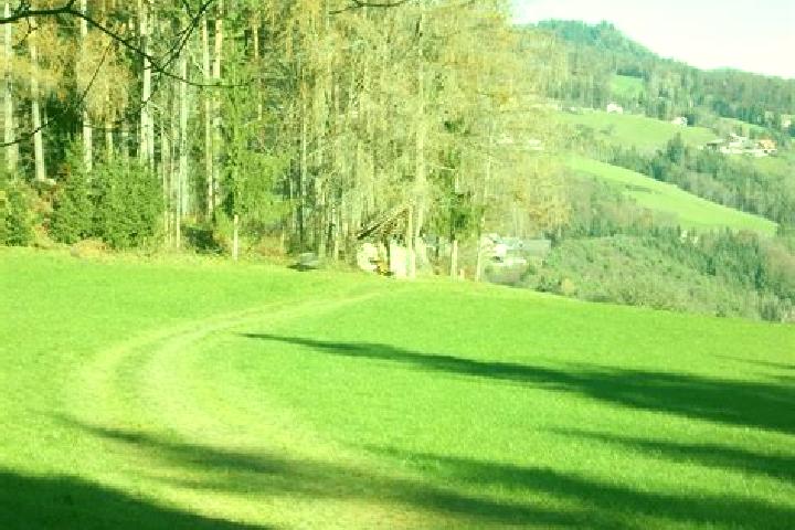 escort Landscha bei Weiz