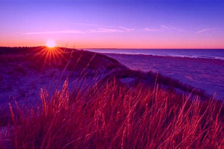 escort Langeoog