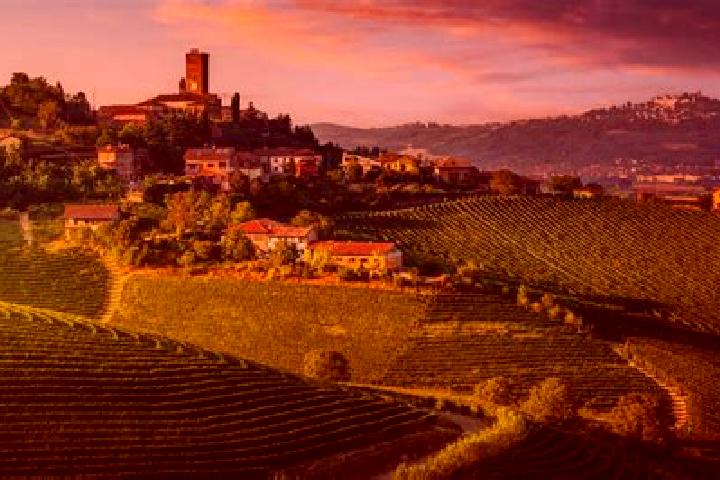 escort Langhe