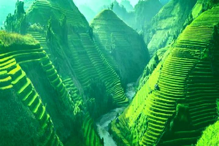 escort Lao Cai