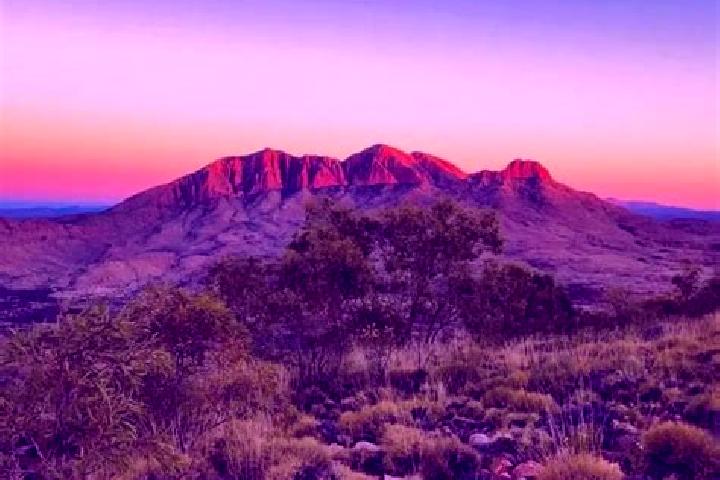 escort Larapinta