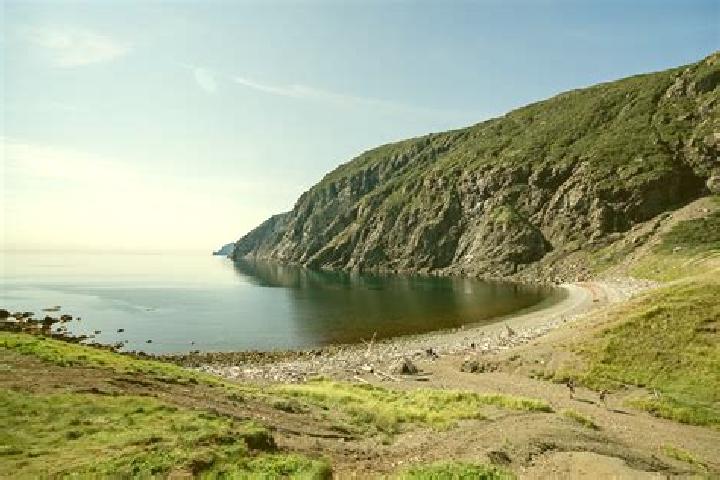escort Lark Harbour