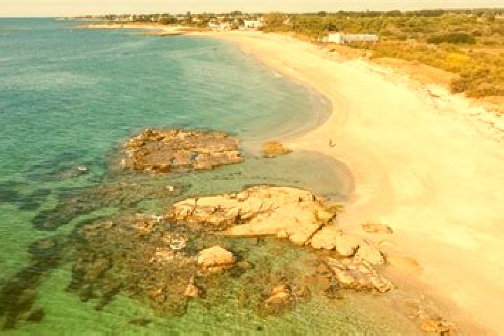 escort Larmor-Plage
