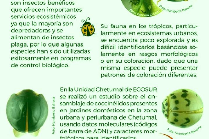escort Las Catarinas