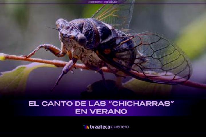 escort Las Chicharras
