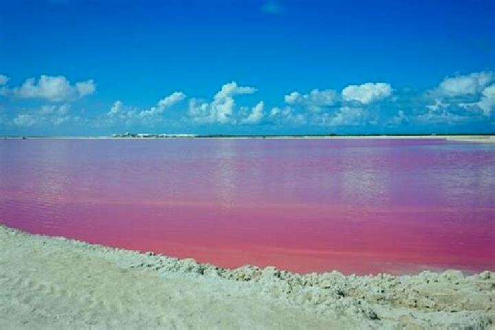 escort Las Coloradas