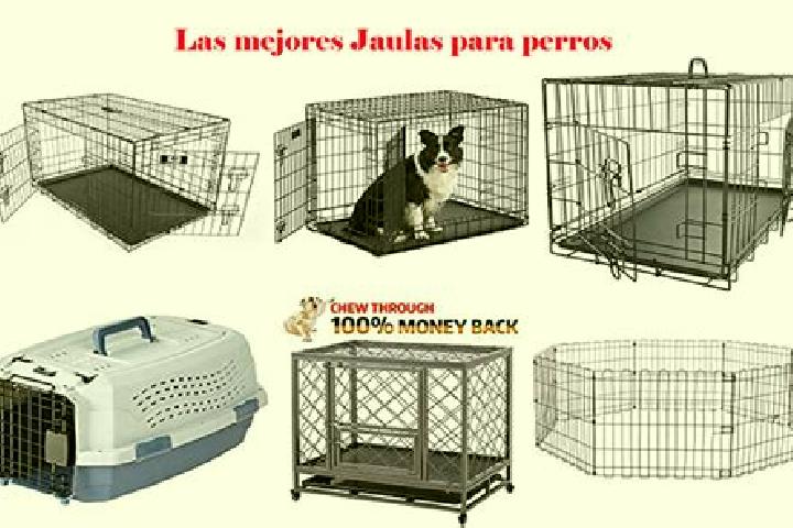 escort Las Jaulas