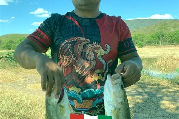 escort Las Mojarras