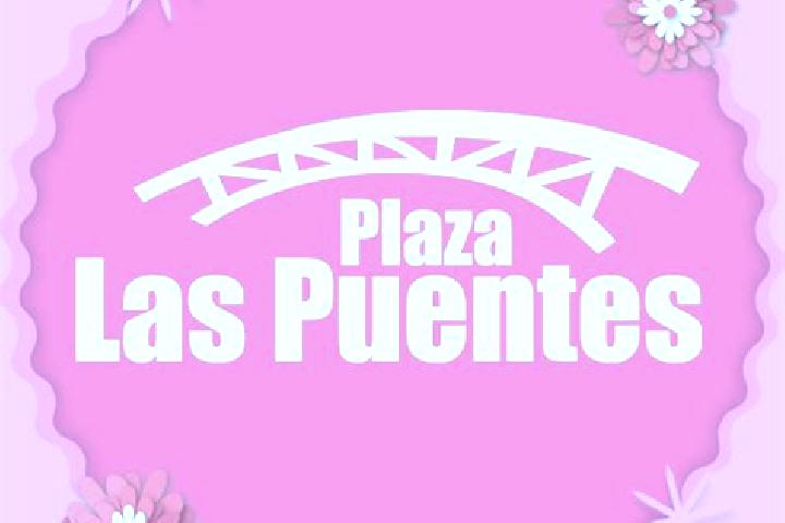 escort Las Puentes